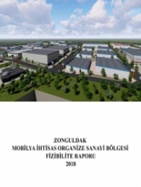 Zonguldak Mobilya İhtisas Organize Sanayi Bölgesi Fizibilite Raporu 