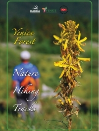 Yenice Forests Nature Hiking Tracks 