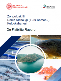 Zonguldak İli Deniz Alabalığı (Türk Somonu) Kuluçkahanesi Ön Fizibilite Raporu