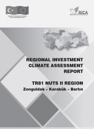 REGIONAL INVESTMENT CLIMATE ASSESSMENT REPORT