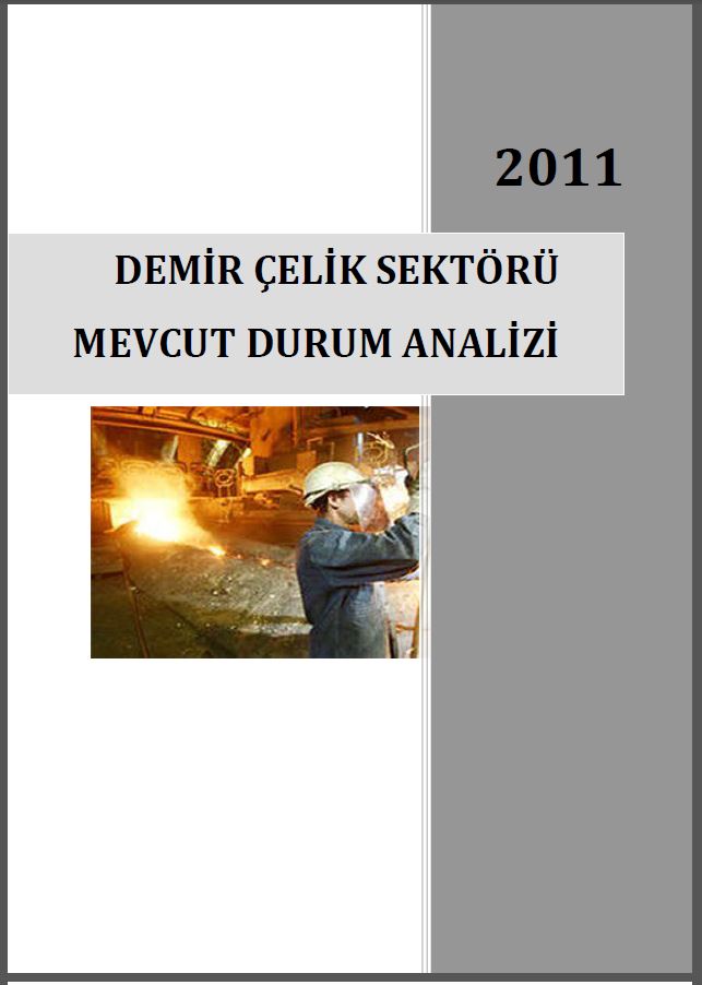 Demir-Çelik Sektörü Mevcut Durum Analizi