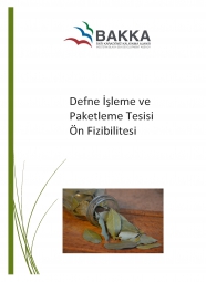 Defne İşleme ve Paketleme Tesisi Ön Fizibilitesi