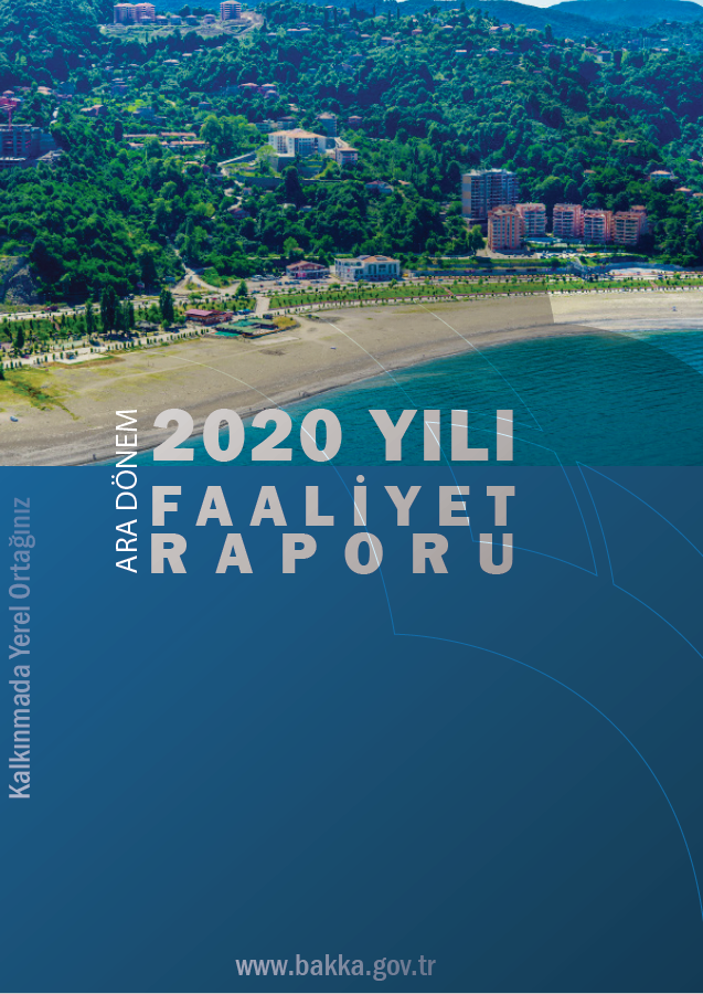 2020 Yılı Ara Dönem Faaliyet Raporu